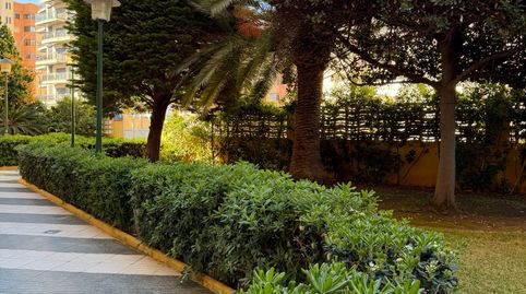 Foto 2 de Apartamento en venta en Carrer de L'horta, 8, Playa de Gandia, Gandia
