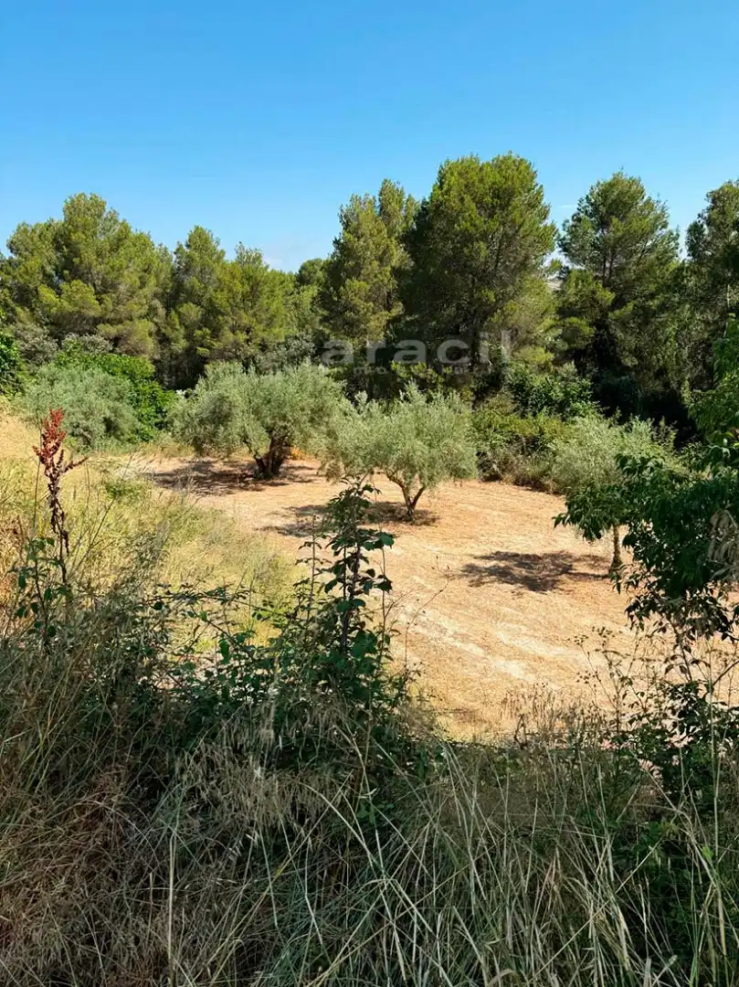 Finca rústica en venta en Bocairent con Piscina