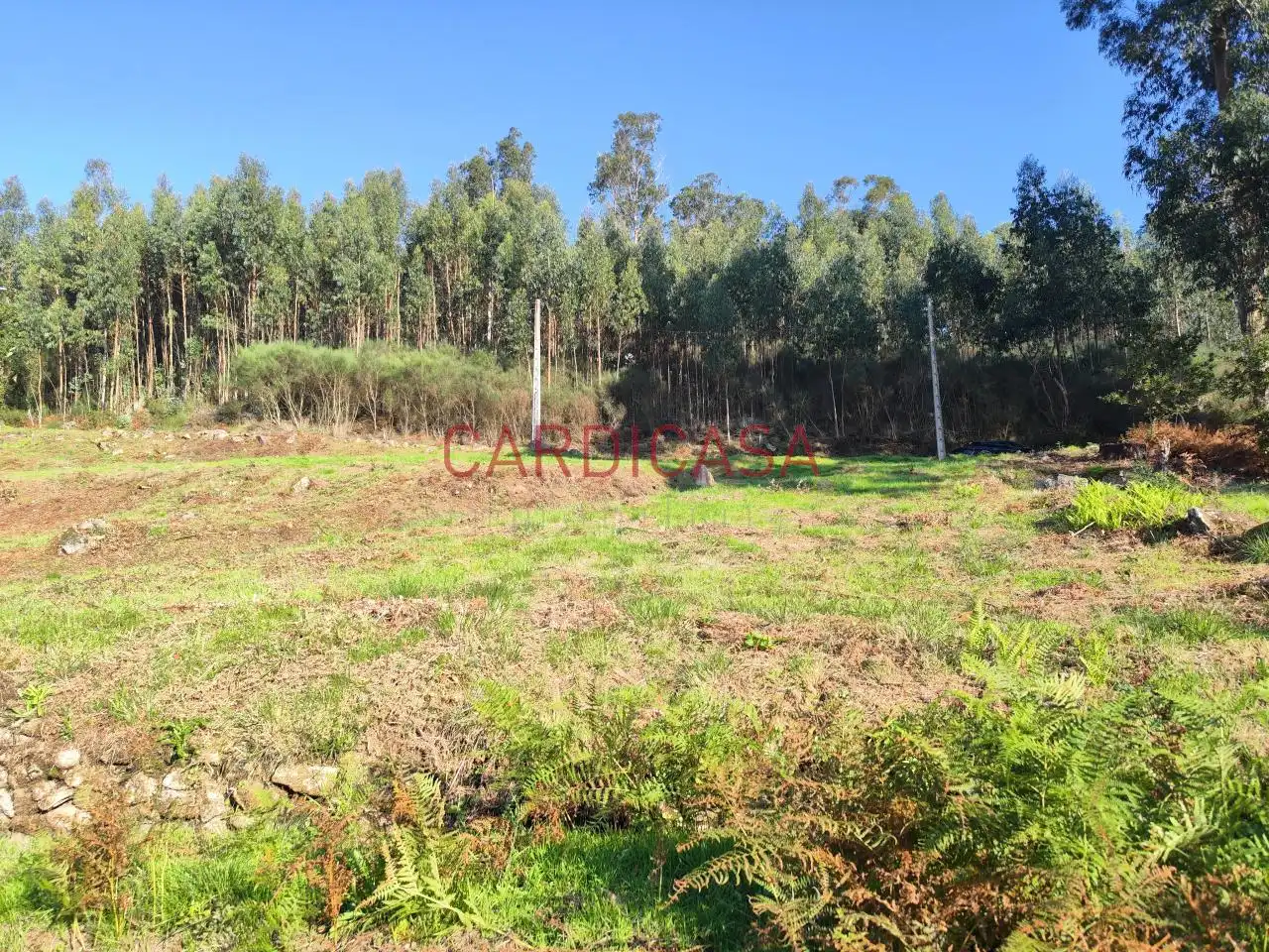Residencial en venta en As Neves  