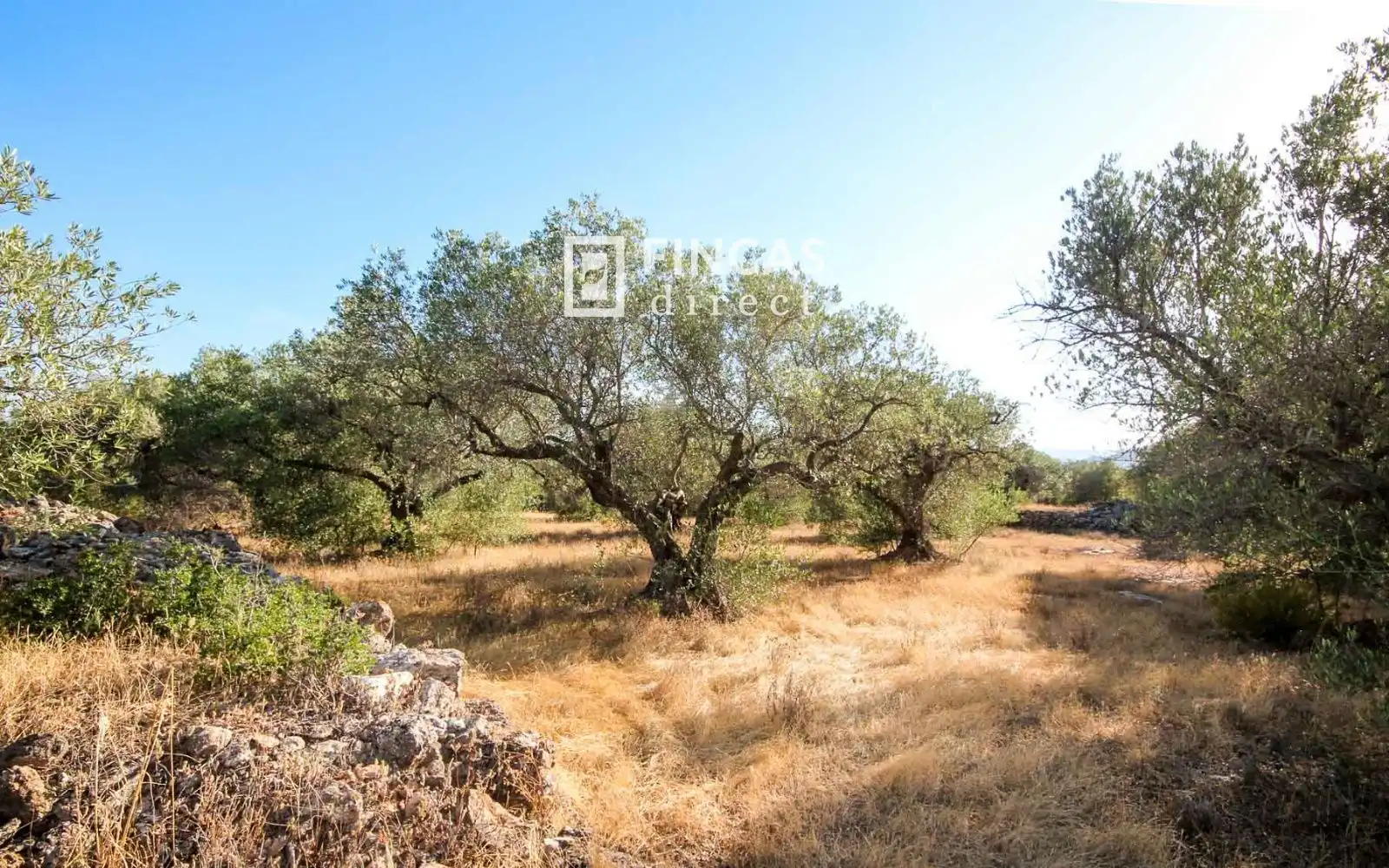 Country homes for sale in Xerta