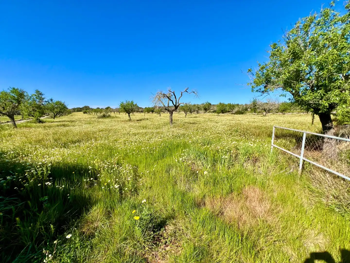 Residencial en venta en Santanyí