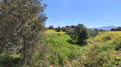 Foto 5 de Terreno en venta en Campanillas, Málaga Capital