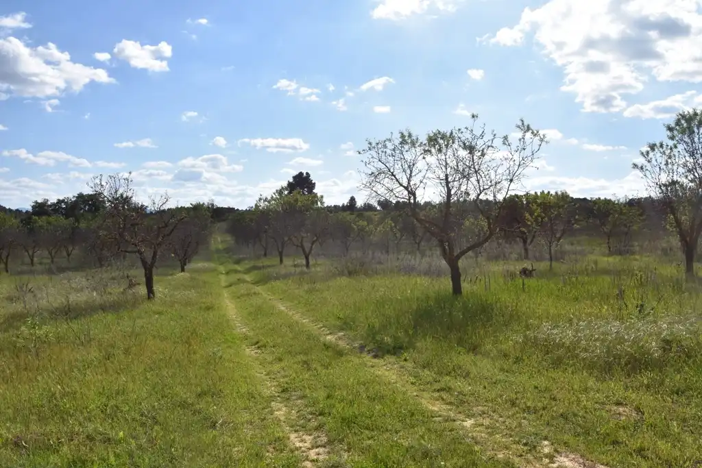 Terreni e lotti in vendita a Cretas, imagen 7