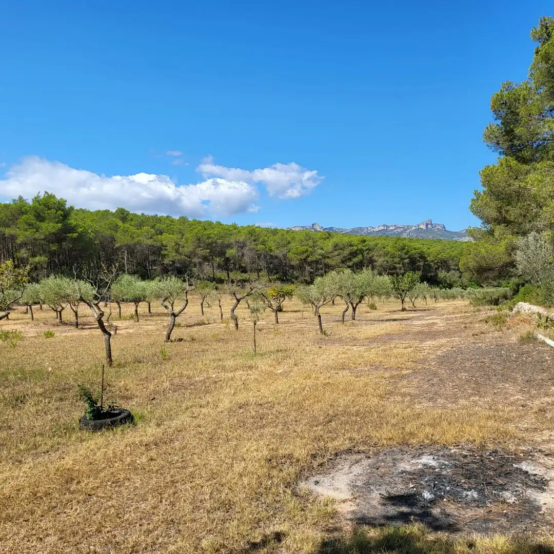 Casa rústica con piscina en venta en El Perelló, imagen 37