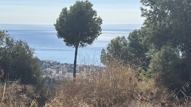 Terreno en Venta en Pinares de San Antón