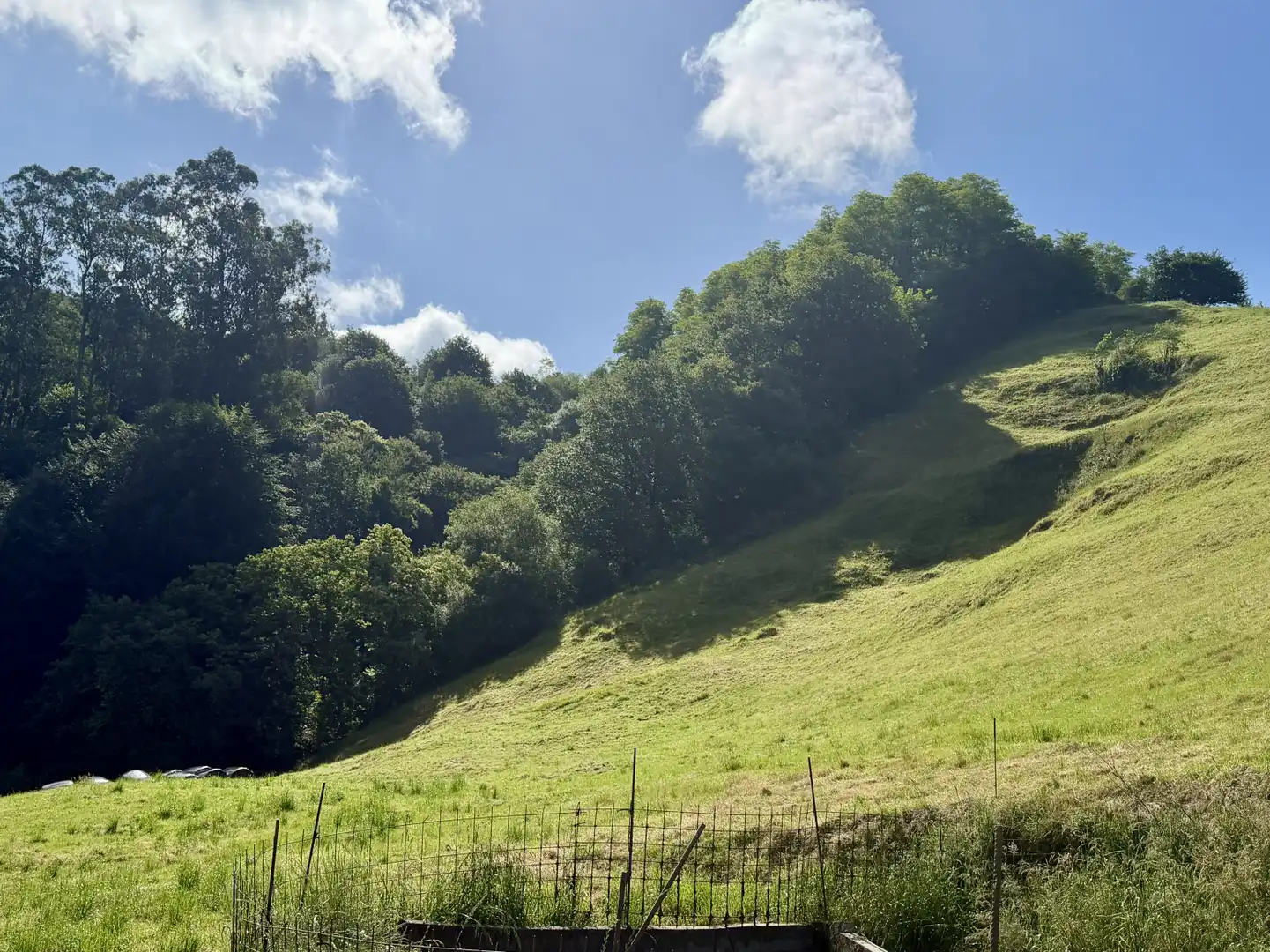 Casa o chalet en venta en Villacarriedo