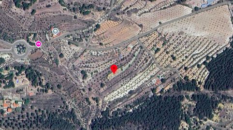 Finca Rústica con Encanto en Biar Alicante  Oportunidad Única, imatge 2