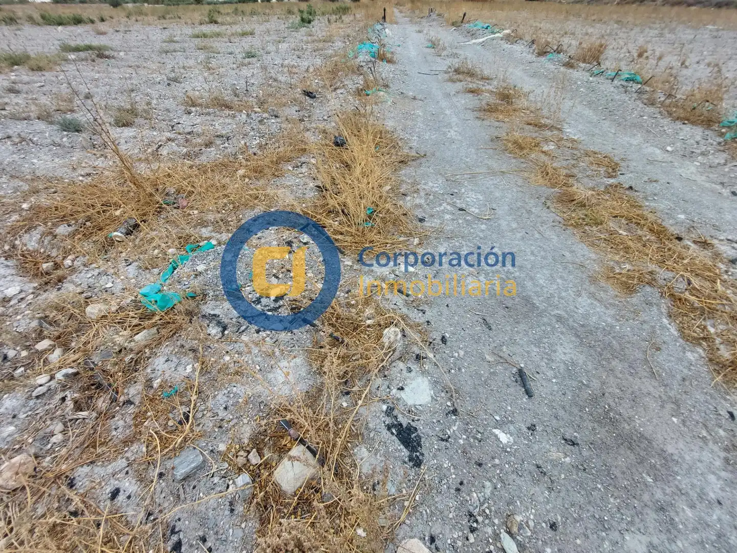 Wohnbaugrundstück zum Verkauf in Pedanías Centro, imagen 5