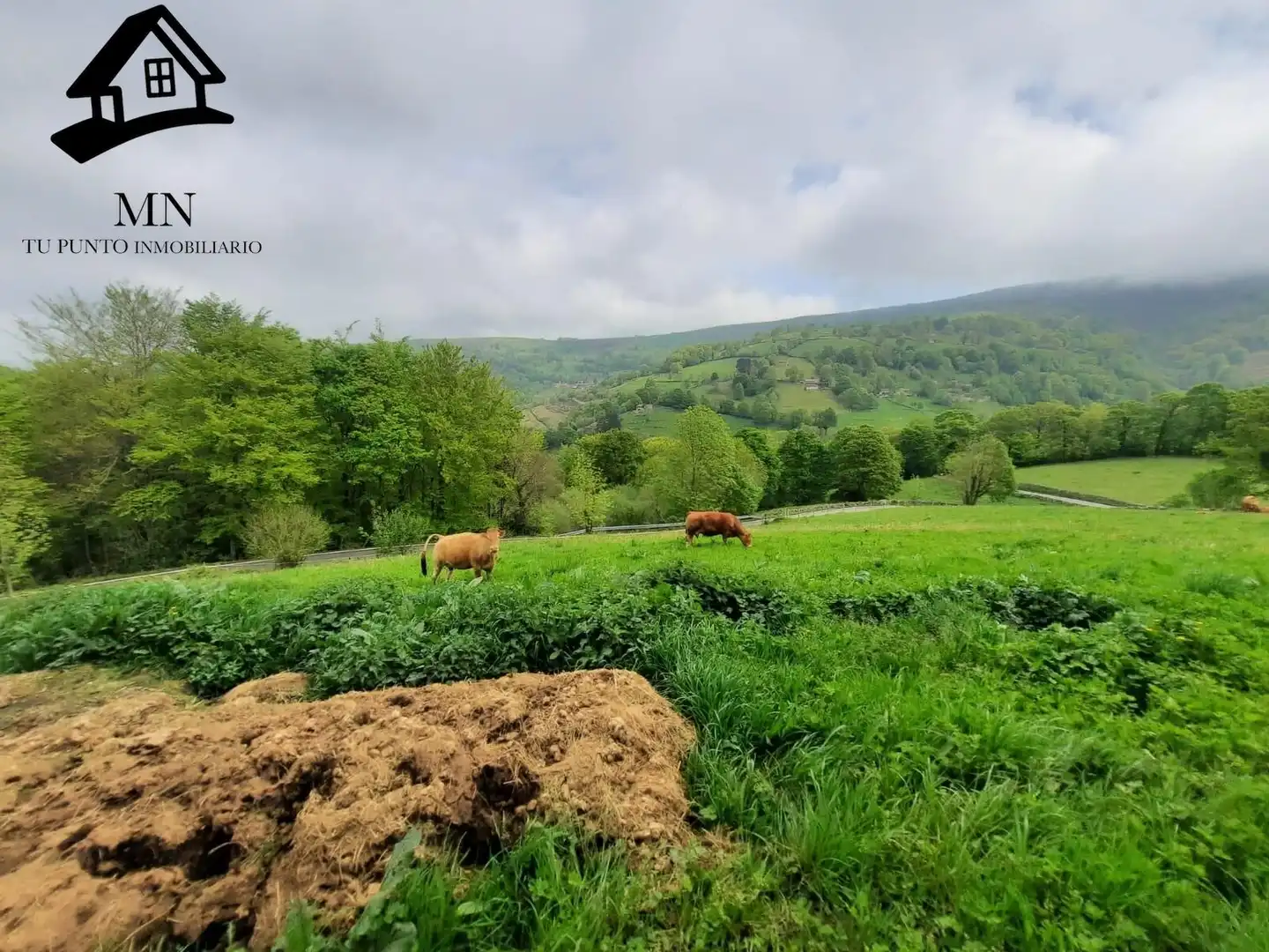 Maison rustique à vendre à Luena, imagen 36