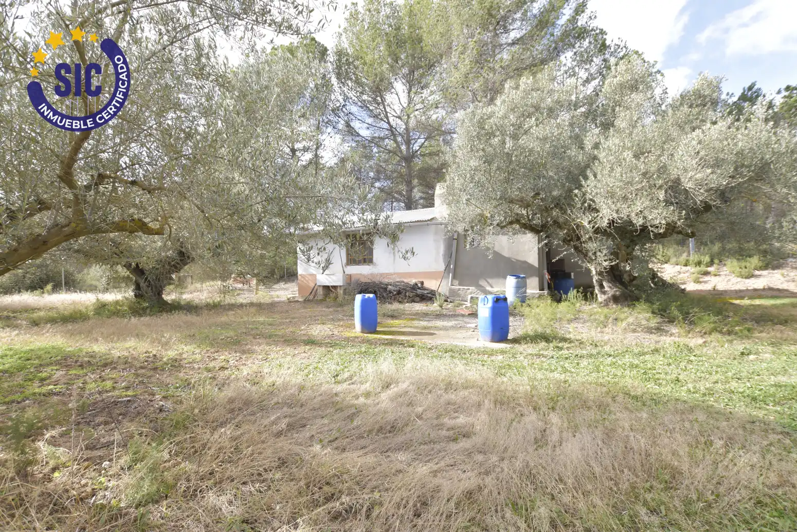 Land for sale in Jérica