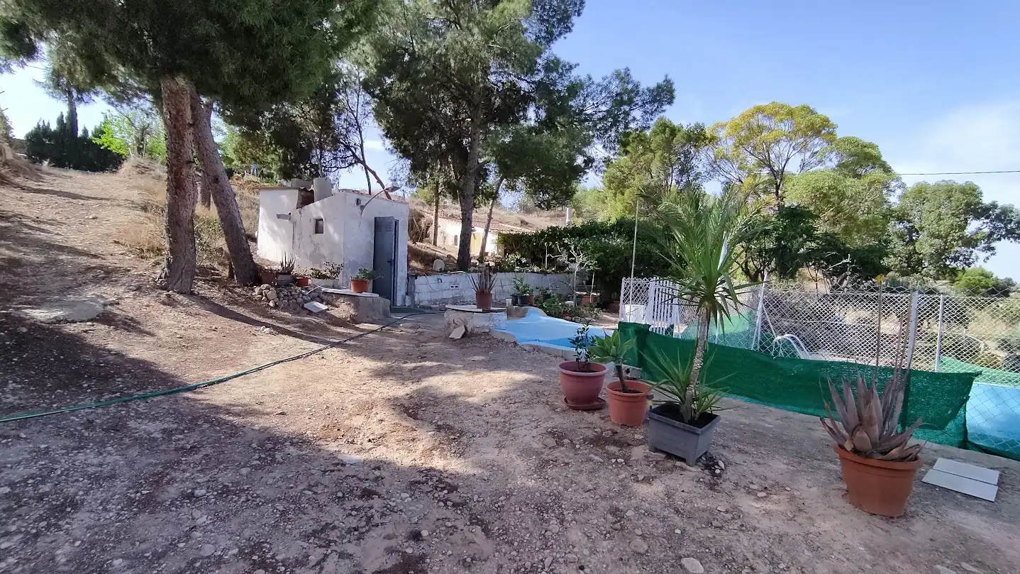 Jardí de Casa o xalet en venda en Elche / Elx amb Piscina