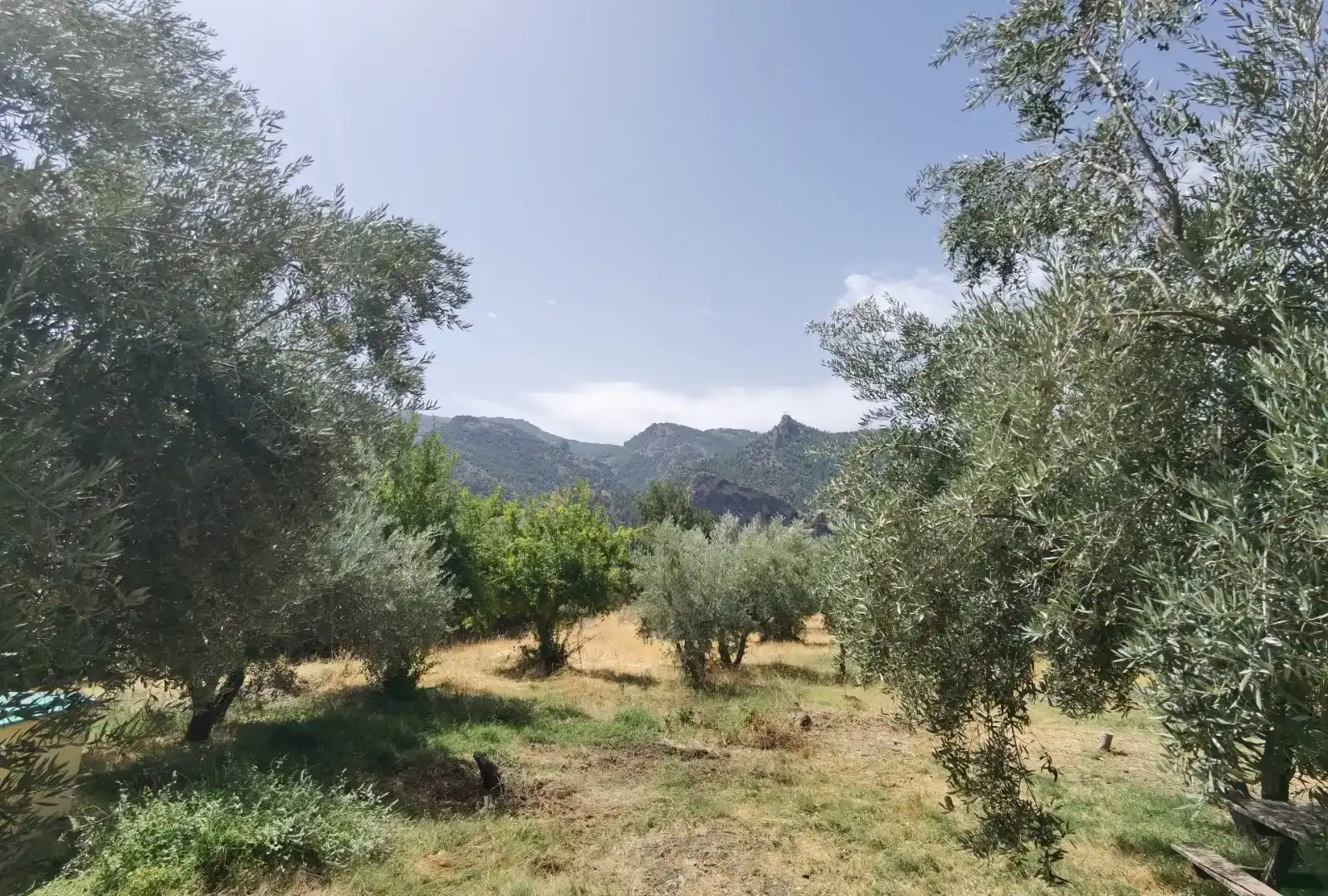 Houses for sale in Güéjar Sierra