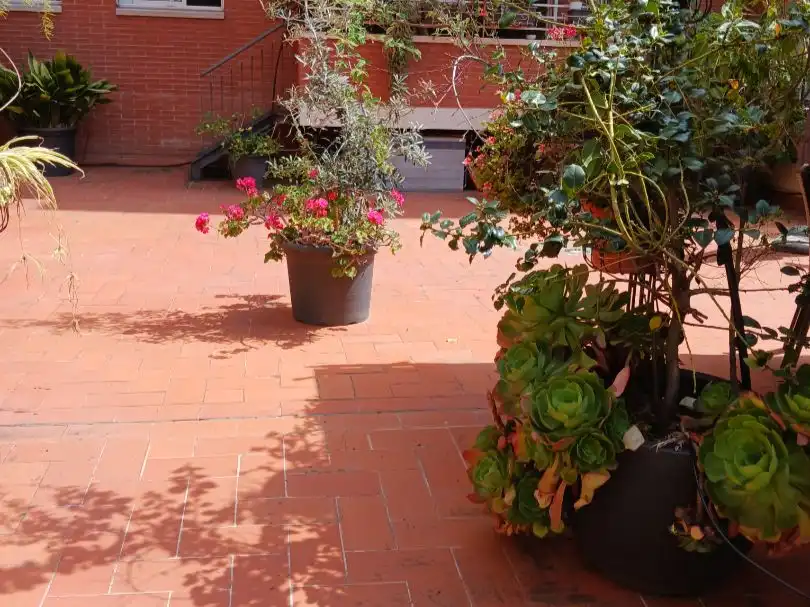 Flat with lift for sale in Costa i Cuxart 23