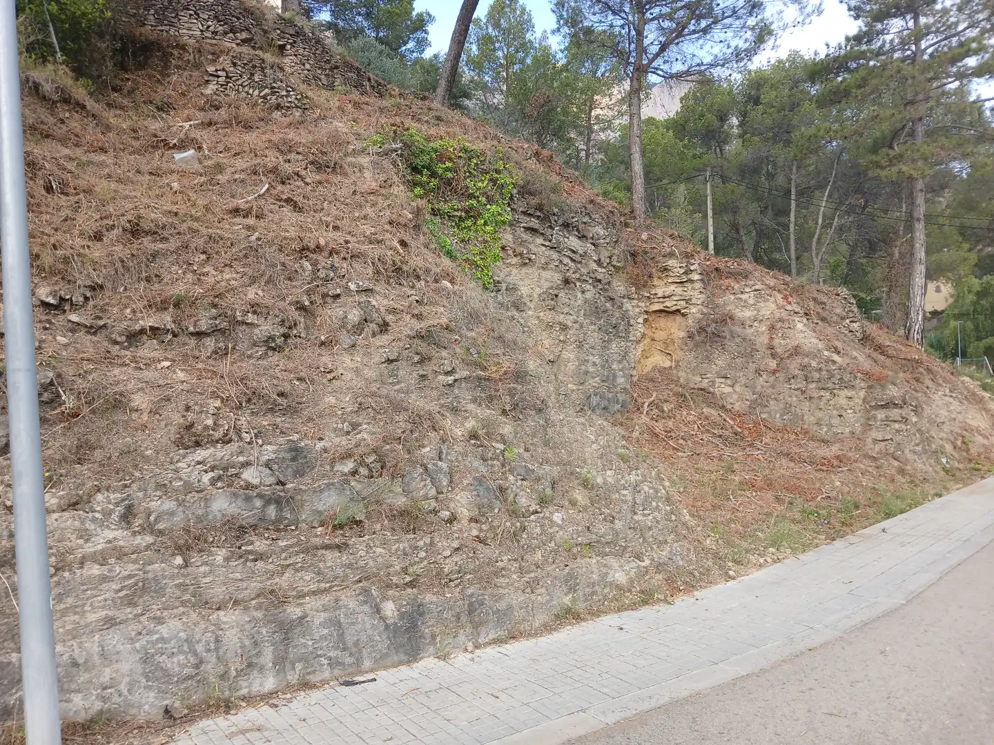 Terreny residencial en venda a Carrer Xoriguer 9
