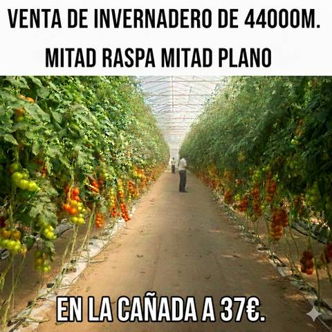 Terreno en Venta en Camino Cruz de Martos, 125 en La Cañada de San Urbano