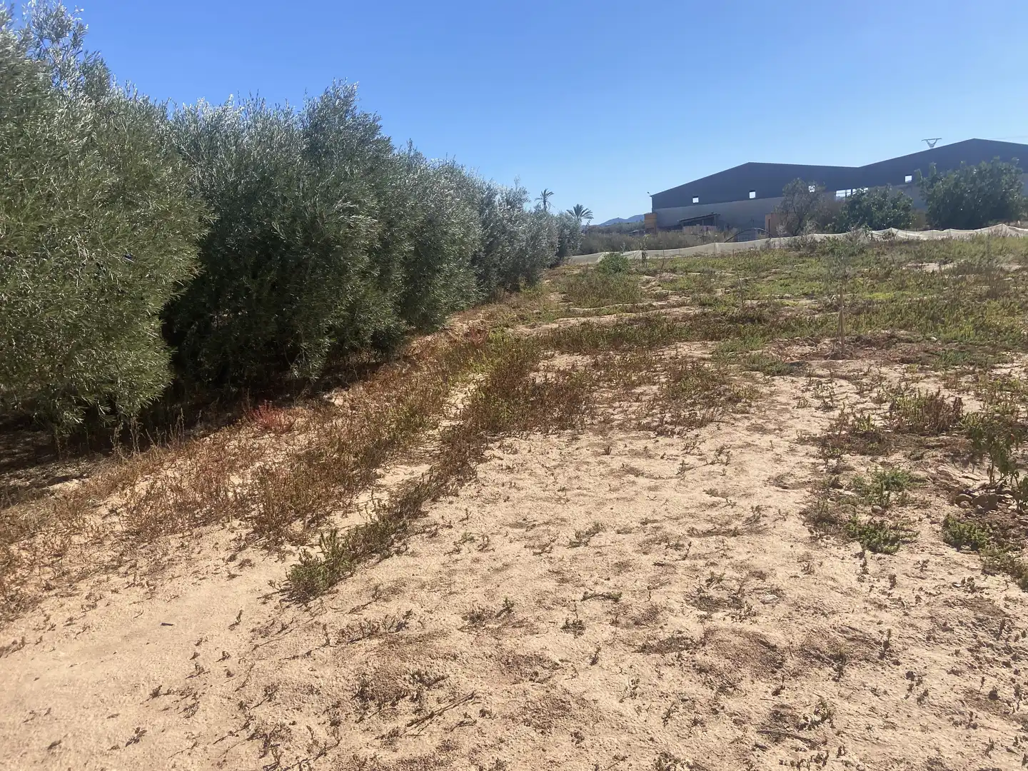 Land for sale in Cartagena