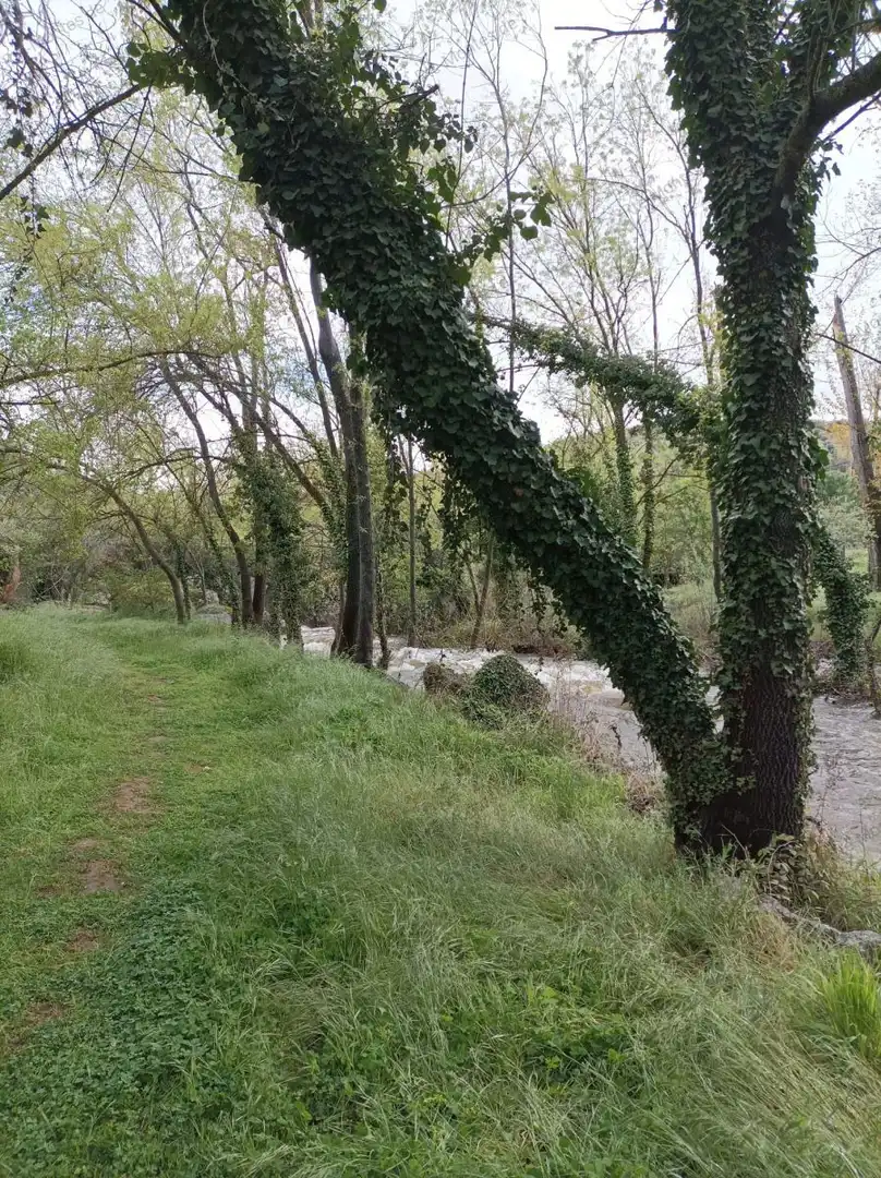 Vista exterior de Casa o chalet en venta en Navahermosa con Terraza y Balcón