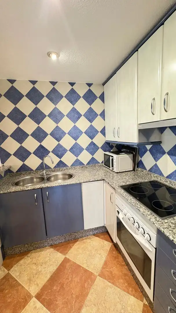 Wohnung mit Garten zum Verkauf in Avenida Madrid, imagen 15