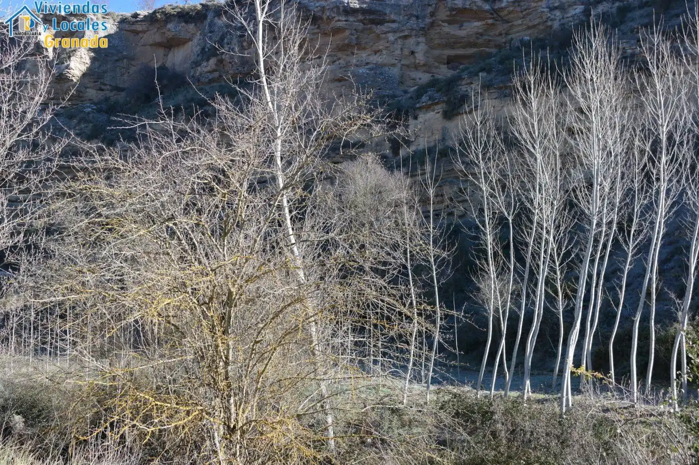 Terreni e lotti in vendita a Alhama de Granada, imagen 39