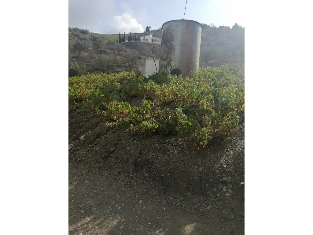 Casa en venta en Viñuela, imagen 11