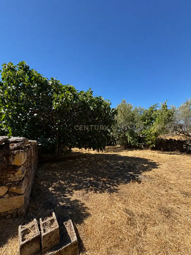 House with garden for sale in Trujillo, imagen 45