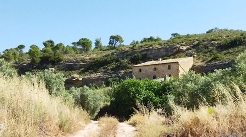 BATEA, FINCA DE 19 HECTÁREAS CON CASA DE CAMPO, REGADÍO Y SITUADA FRENTE AL RÍO ALGARS., immagine 2