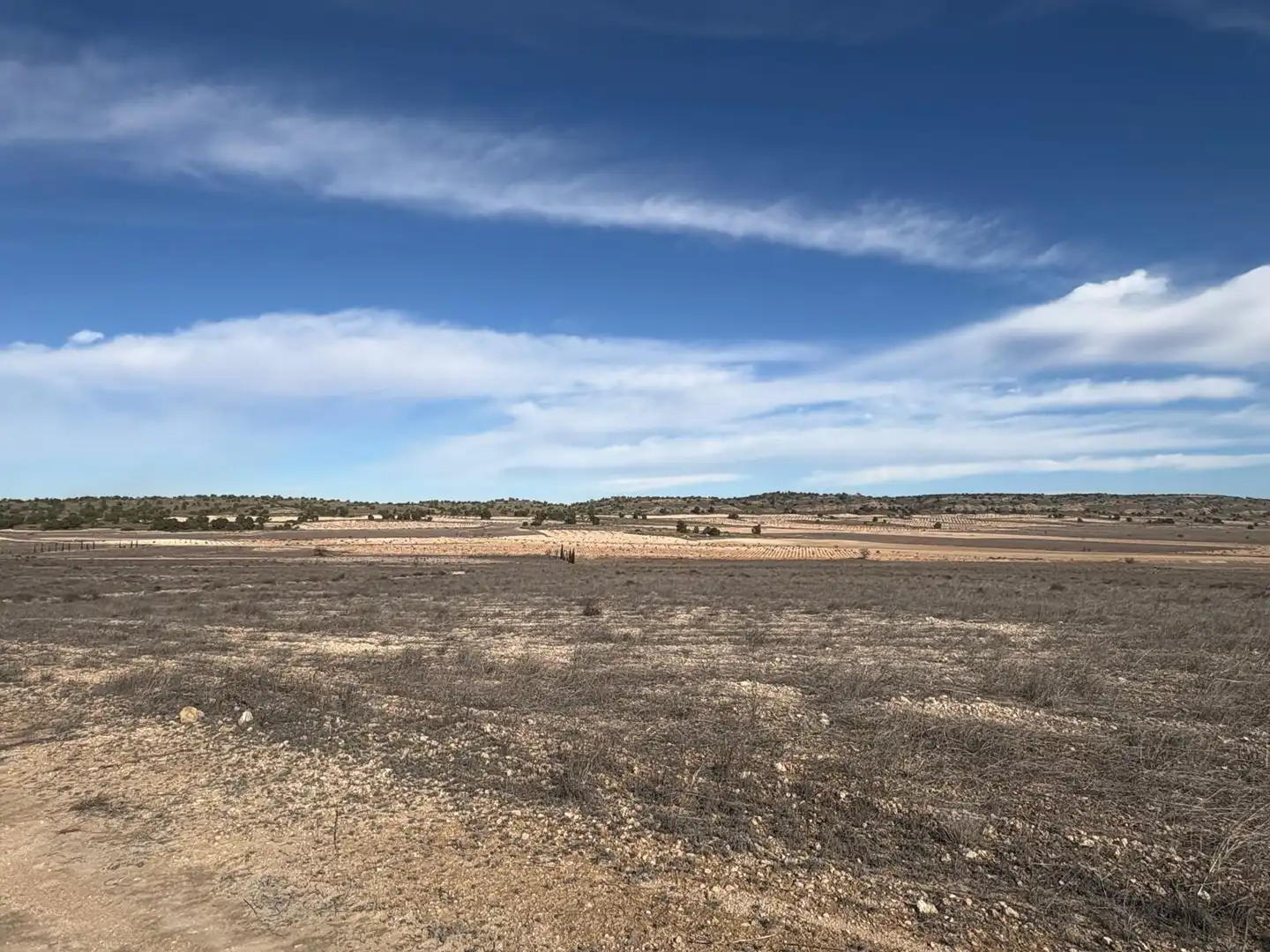 Finca rústica en venta en Ontur