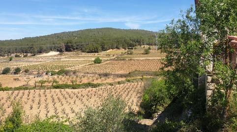 Foto 2 de Finca rústica en venda a Olèrdola, Barcelona