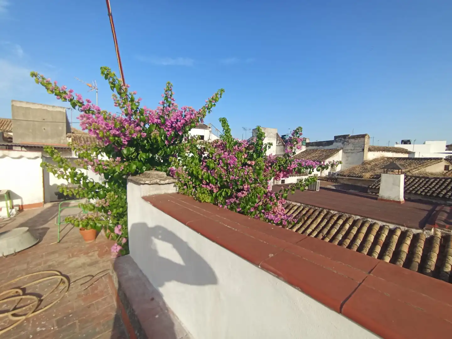 Vista exterior de Casa o chalet en venta en Córdoba
