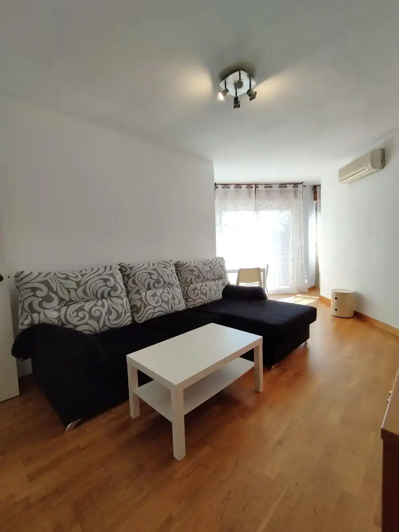 Mini appartamento con terrazza in affitto a Avenida Avenida Juan Carlos I, imagen 11