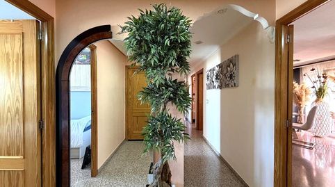 Foto 5 de Pis en venda a Madre Elisea, Caudete, Albacete