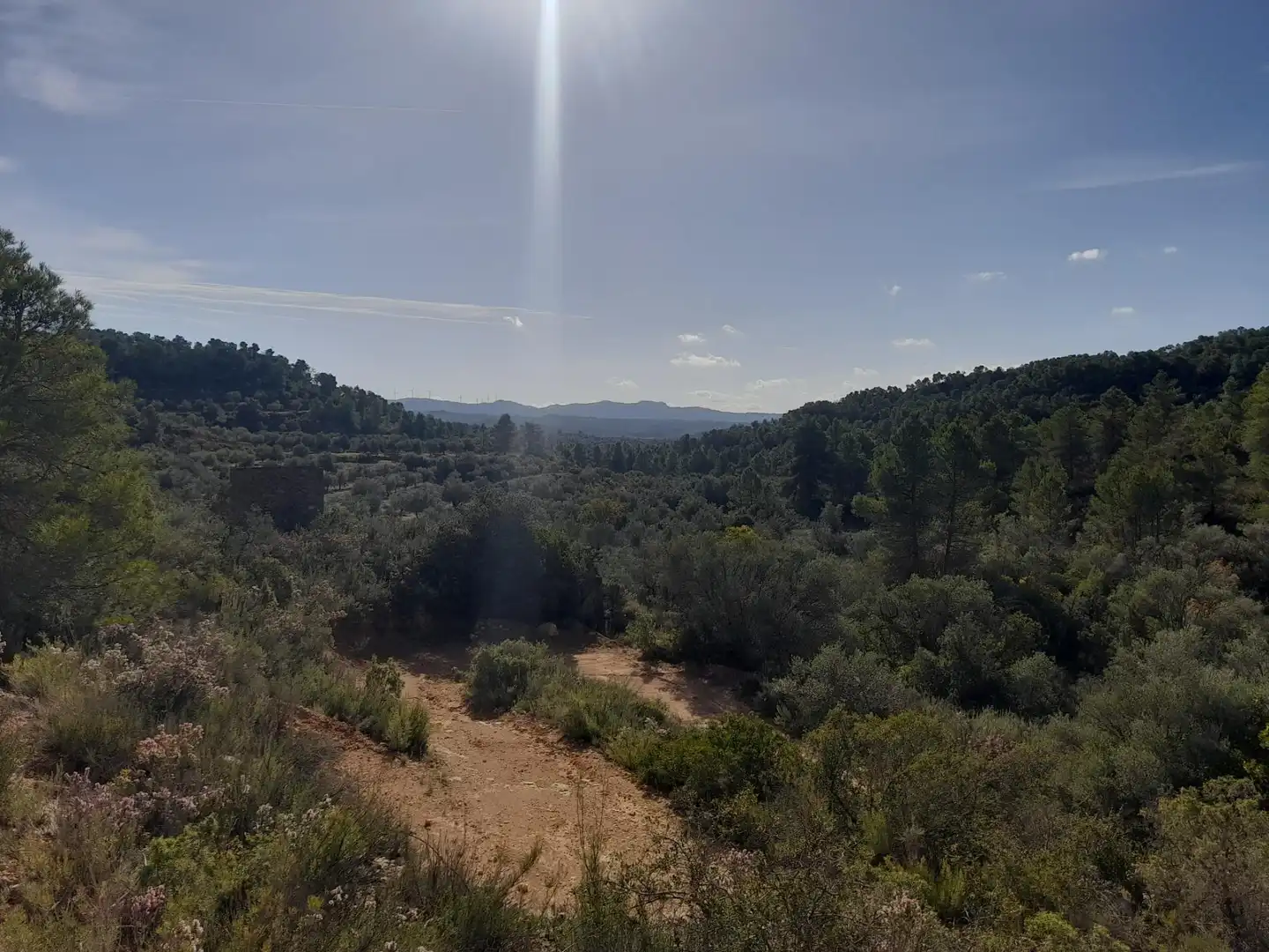 Land for sale in La Palma d'Ebre