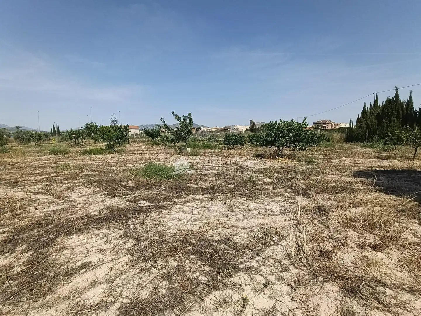 Rural land for sale in Novelda, imagen 6