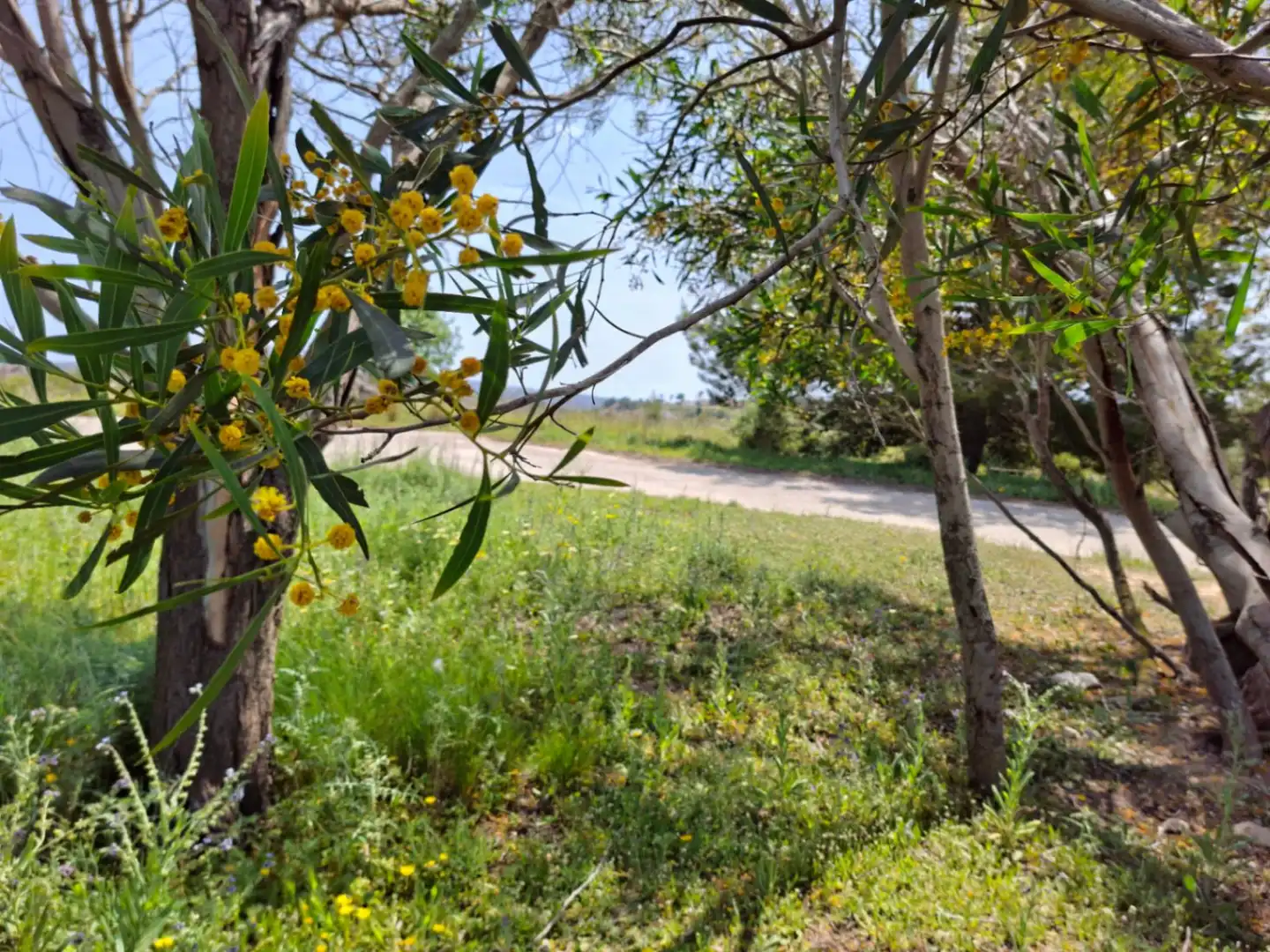 Terreny residencial en venda a Teulada, imagen 16