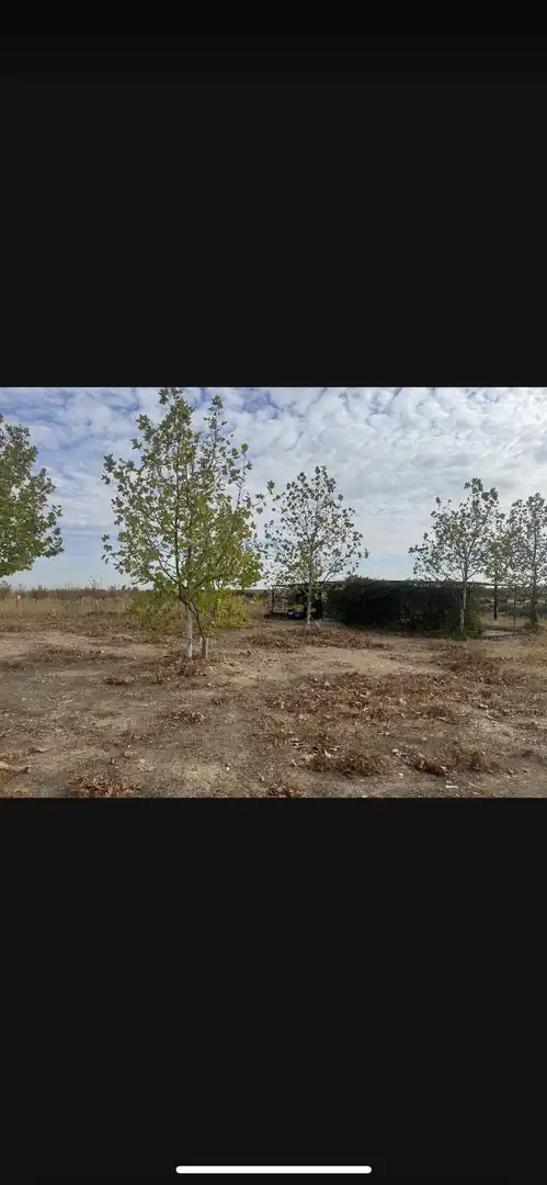 Terreno en venta en Bargas