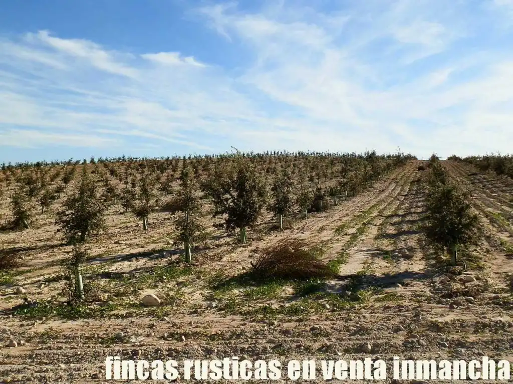 Rustikales Grundstück zum Verkauf in Jumilla, imagen 17