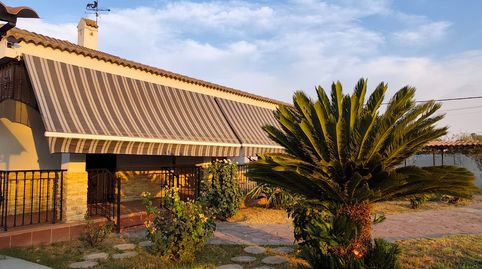 Chalet Independiente en Carmona, imagen 4