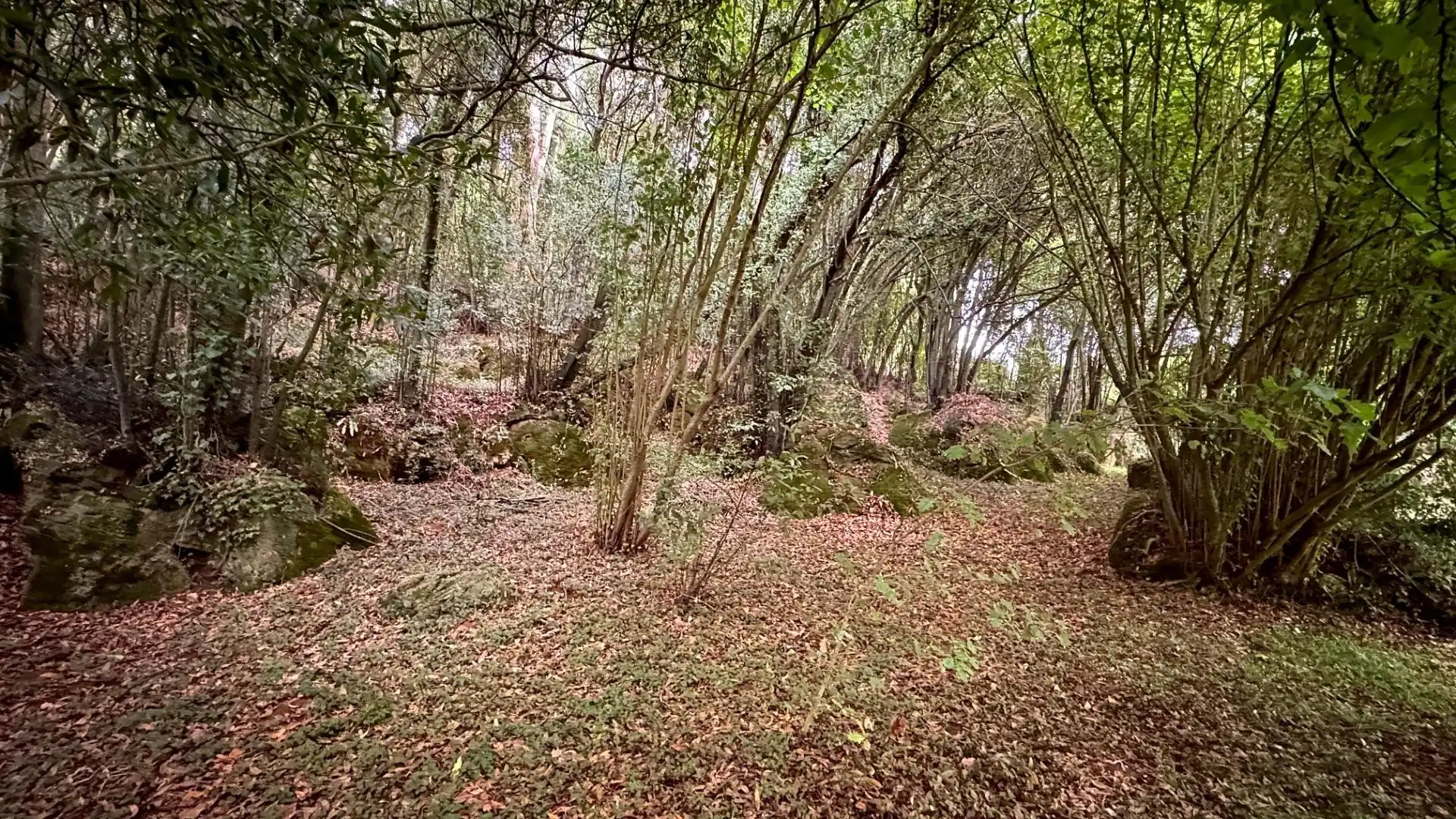 Terreny residencial en venda a Alfoz de Lloredo, imagen 7
