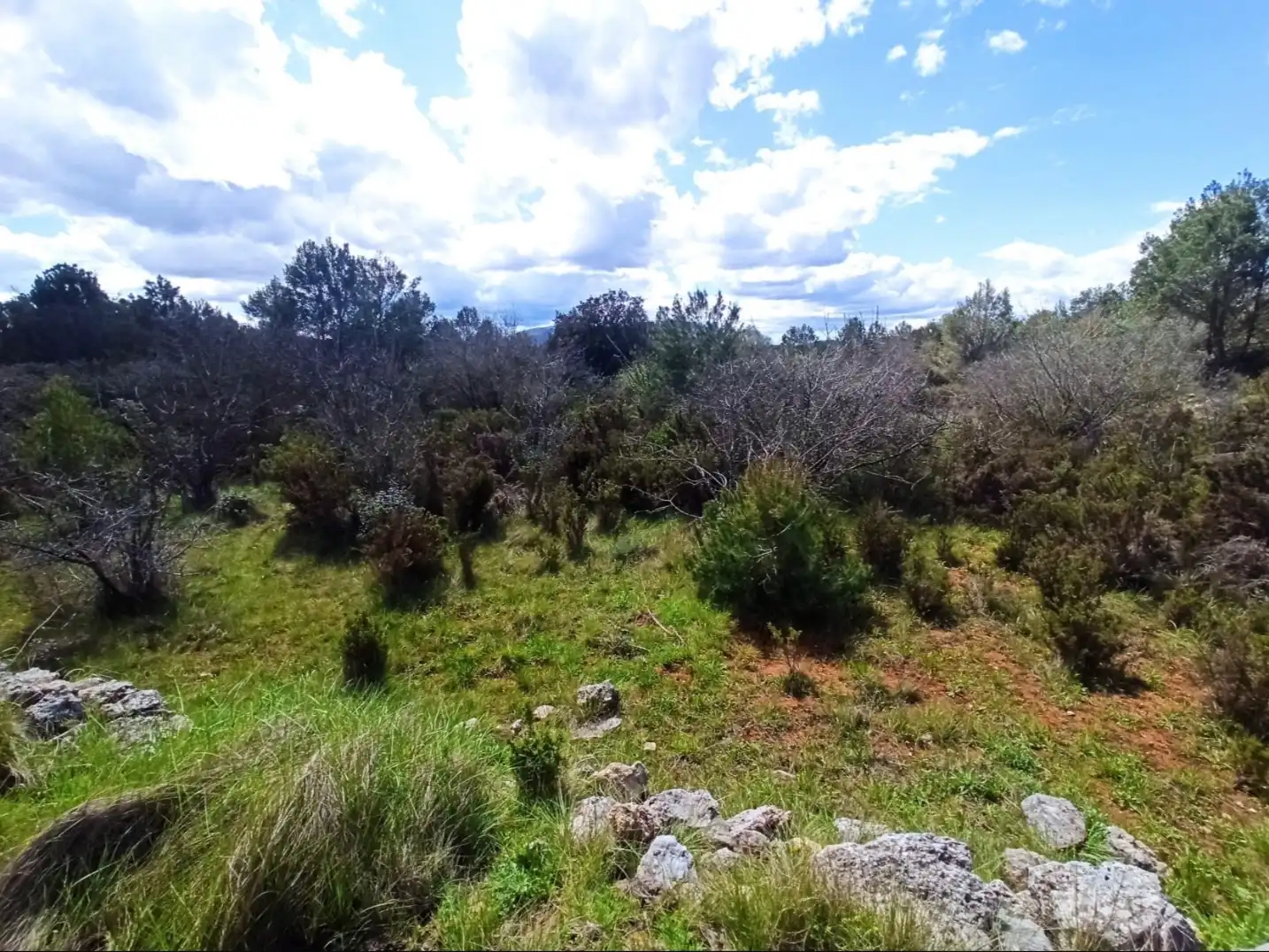 Rural land for sale in Poligono 1, imagen 8