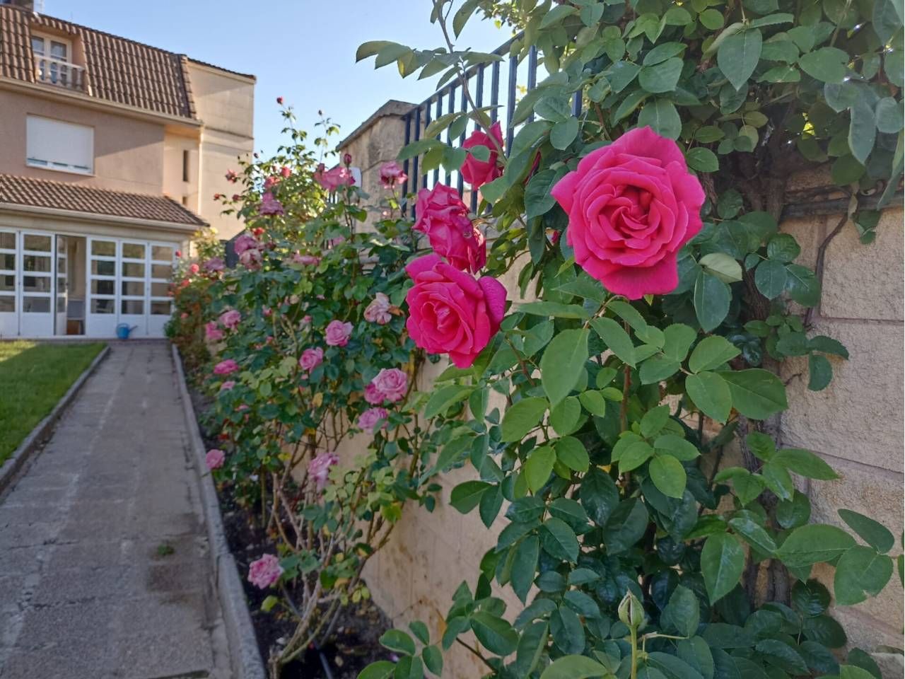 Garden of House or chalet for sale in Cogollos  with Heating, Private garden and Terrace