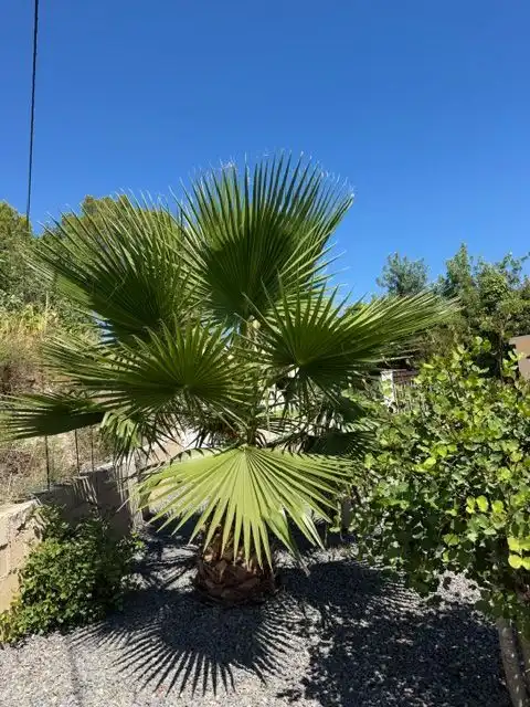 House with garden to rent in Altea la Vella, imagen 24