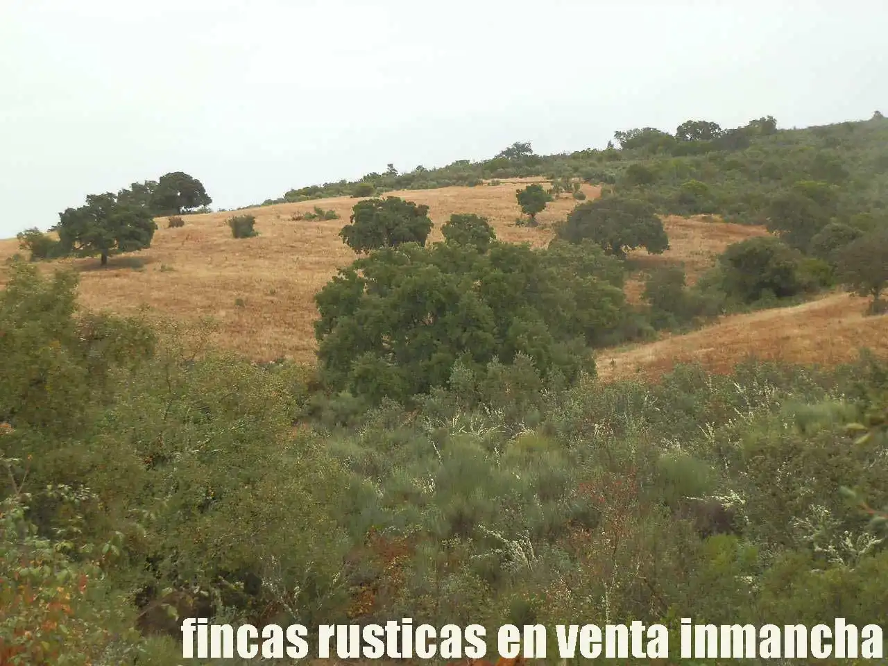 Land for sale in Abenójar