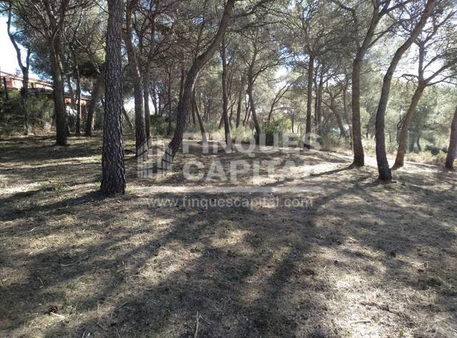 Terreno residencial en Venta en La Móra