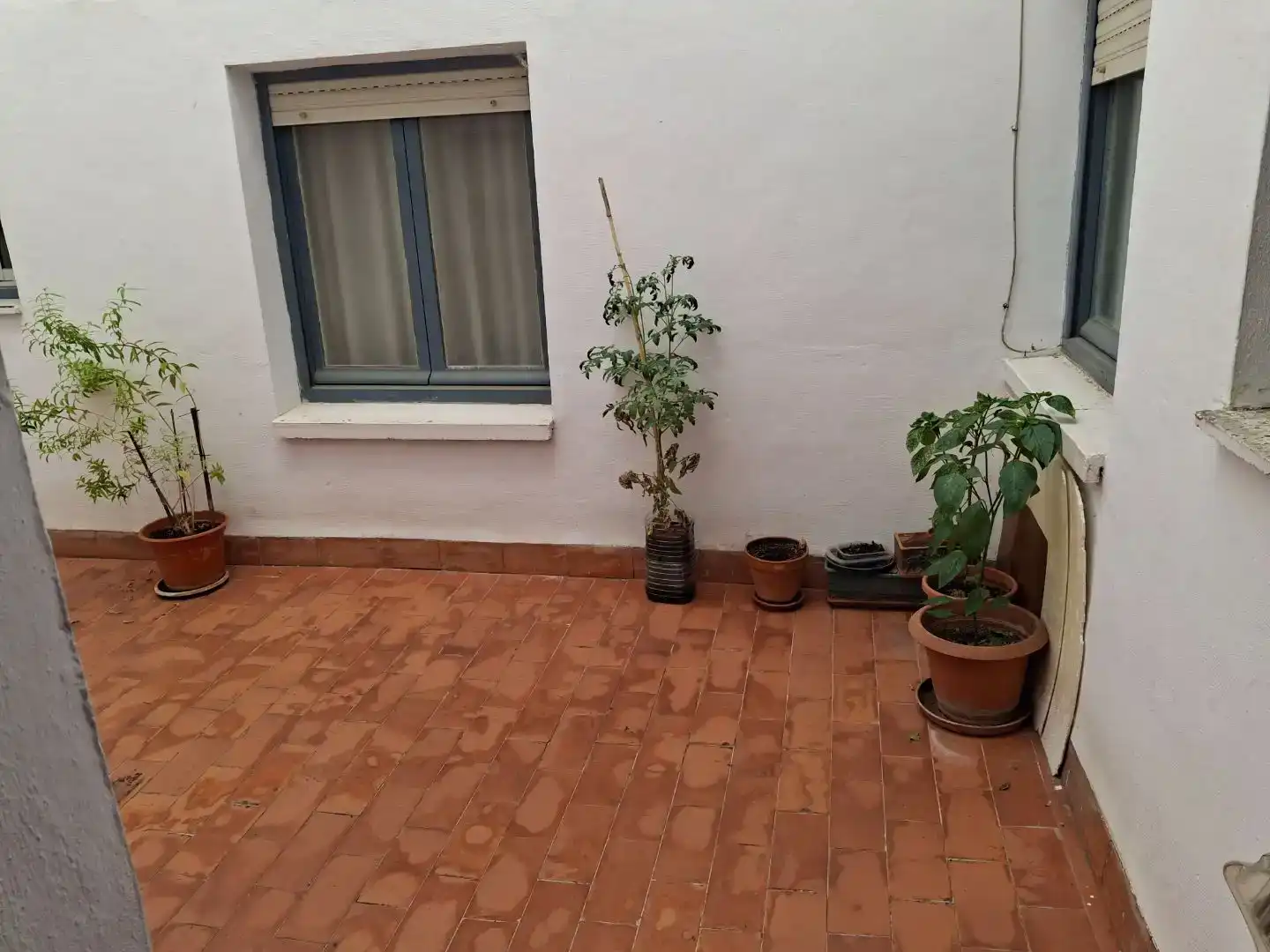 Terraza de Piso en venta en San Millán - Ayuntamiento