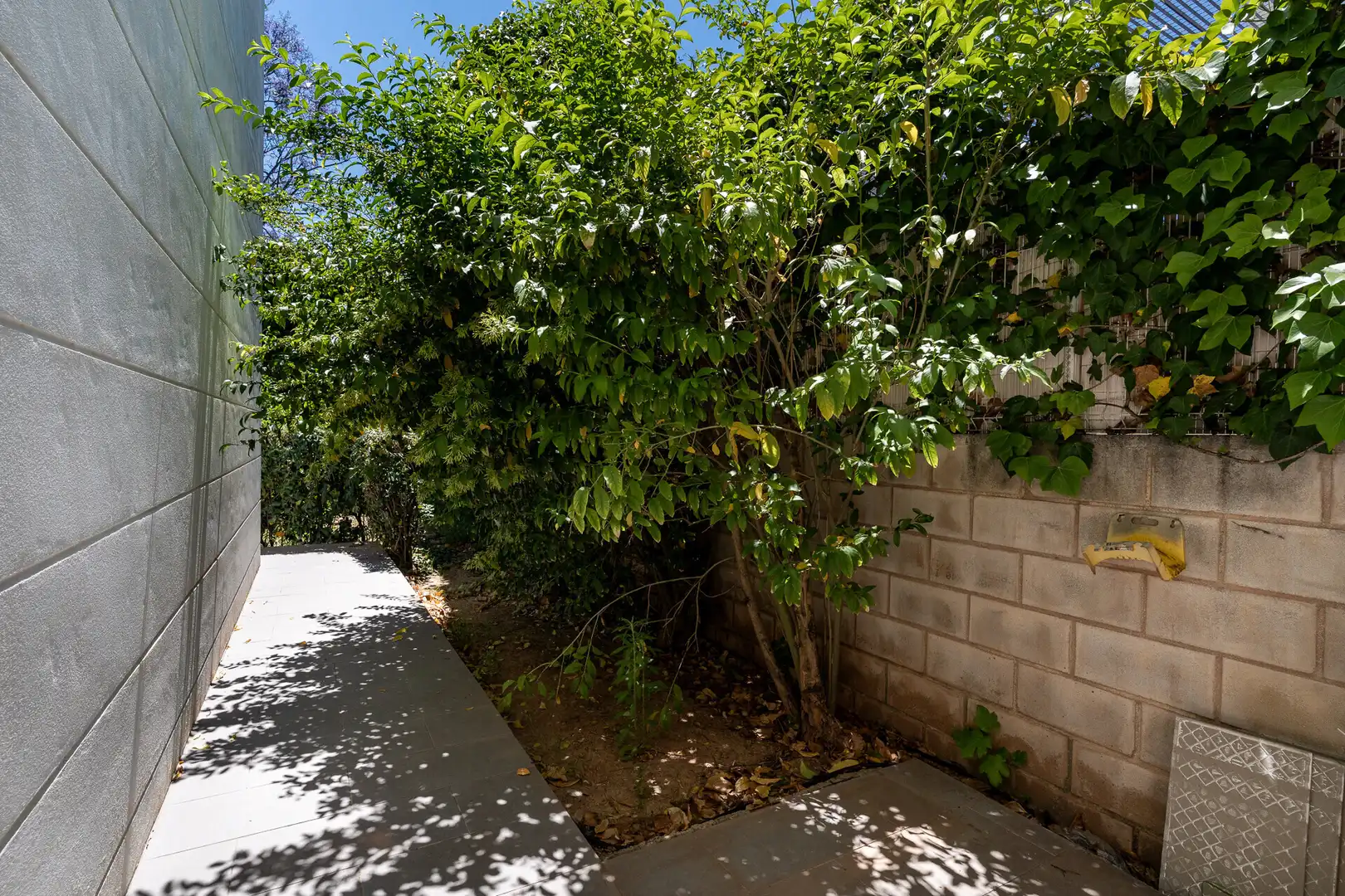 Vista exterior de Planta baixa en venda en  Palma de Mallorca amb Jardí privat, Terrassa i Piscina comunitària