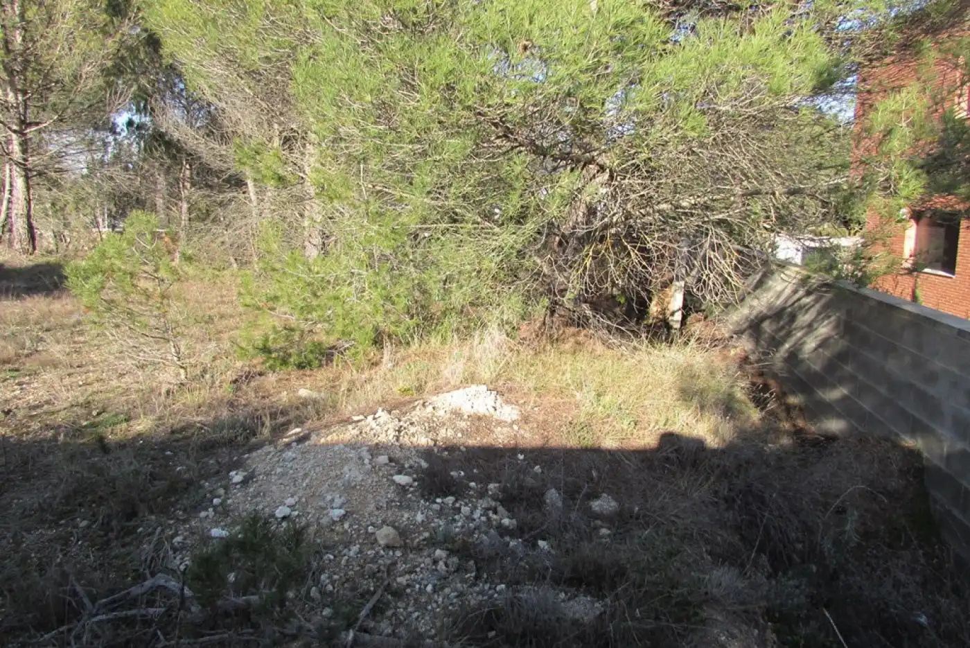 Lands and plots for sale in La Pobla de Claramunt, imagen 7