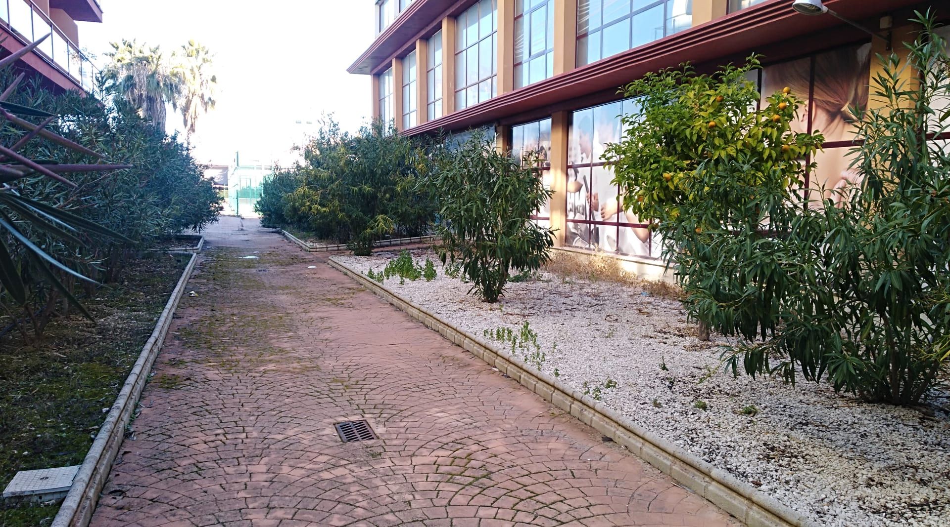 Exterior view of Premises for sale in La Guardia de Jaén