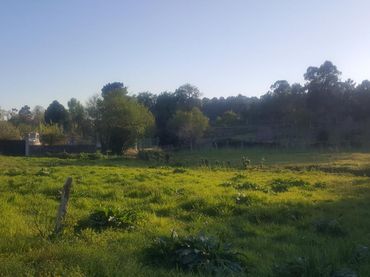 Terreno residenziale in vendita a Boiro