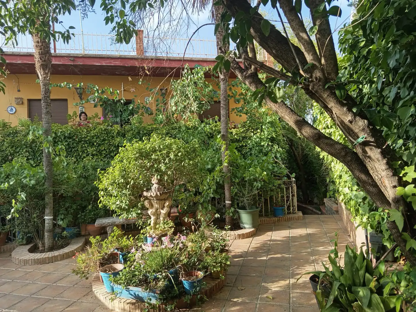 Jardí de Casa o xalet en venda en La Zubia amb Jardí privat i Piscina