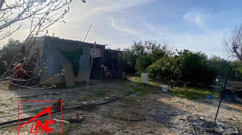 Foto 5 de Finca rústica en venta en Las Cabezas de San Juan, Sevilla